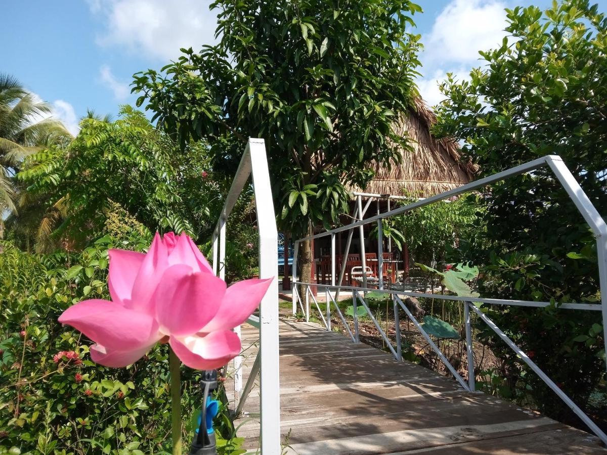 Thach Thao Homestay หมีทอ ภายนอก รูปภาพ