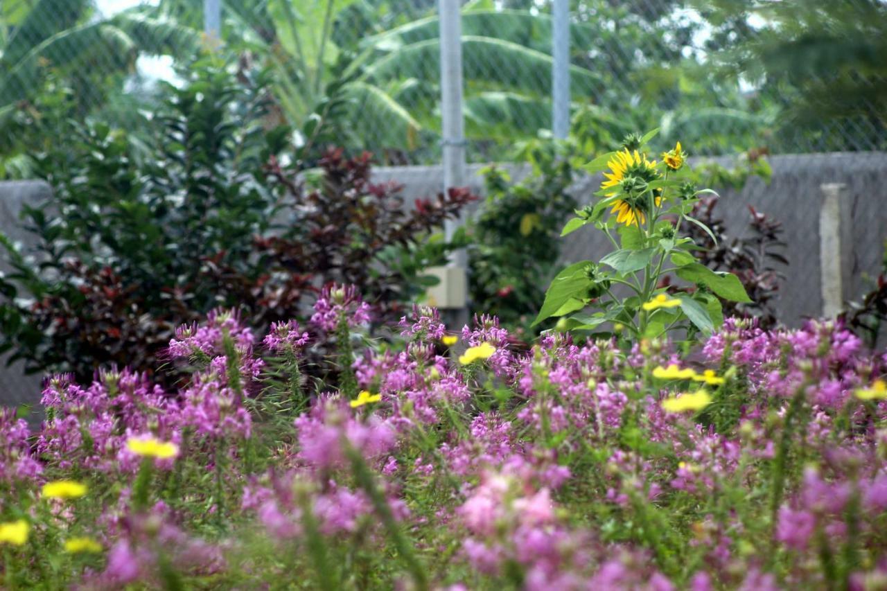 Thach Thao Homestay หมีทอ ภายนอก รูปภาพ