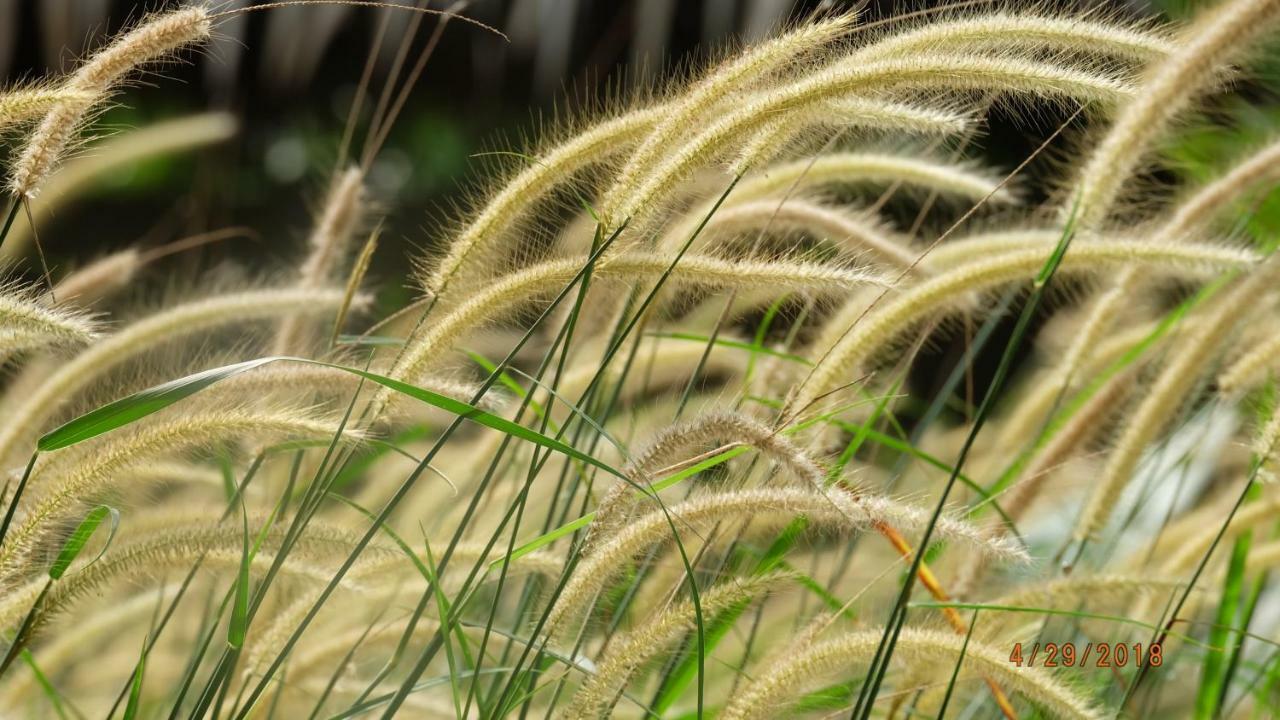 Thach Thao Homestay หมีทอ ภายนอก รูปภาพ