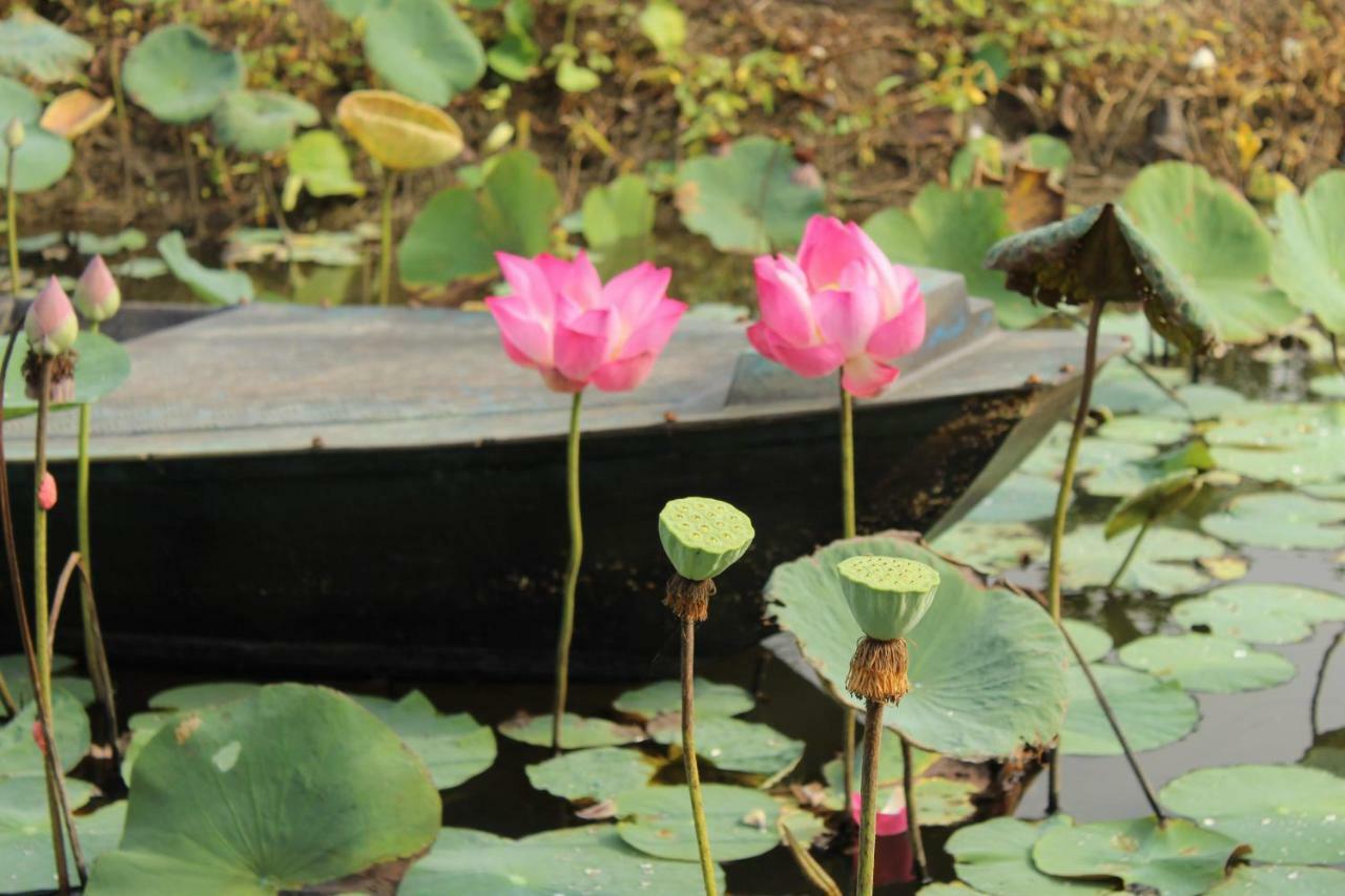 Thach Thao Homestay หมีทอ ภายนอก รูปภาพ